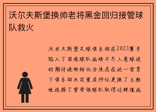 沃尔夫斯堡换帅老将黑金回归接管球队救火